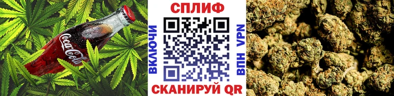 Cannafood конопля  Лермонтов 