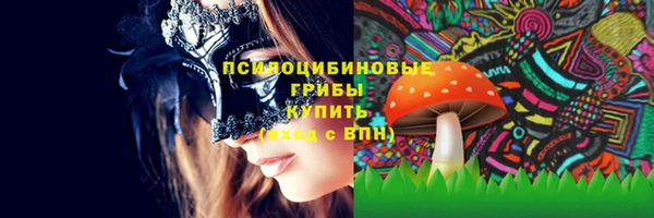 круглые Абаза