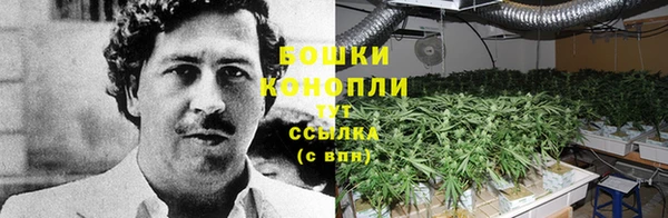 2c-b Алексин