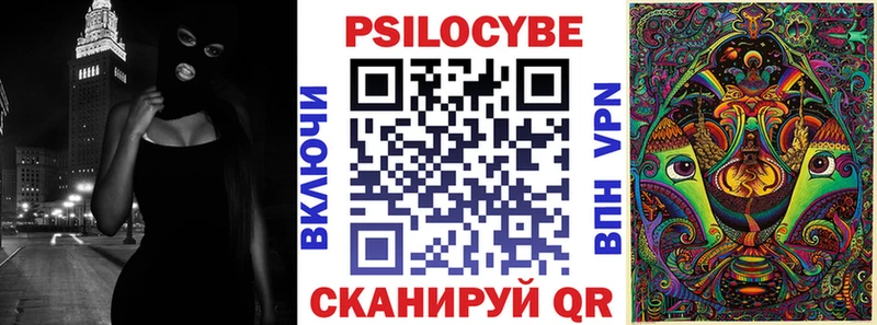 kraken как войти  Лермонтов  Галлюциногенные грибы мицелий 